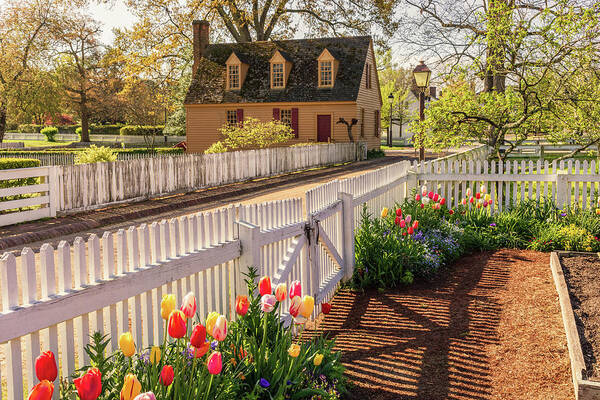 Colonial Williamsburg Art Print featuring the photograph Kitchen Garden in Springtime by Rachel Morrison
