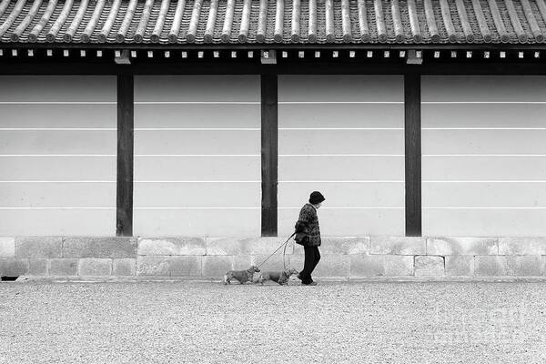 Dog Art Print featuring the photograph Kyoto Walkies by Dean Harte