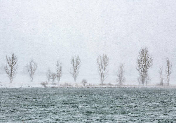 Snow Art Print featuring the photograph Lake Effect by Darren White