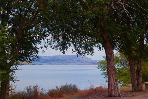 Lake Art Print featuring the photograph Lake View by Yvonne M Smith