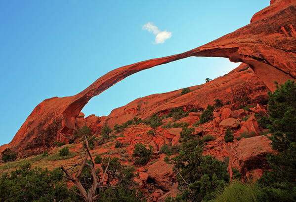 Scenic Art Print featuring the photograph Landscape Arch by Doug Davidson