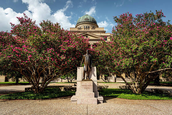 Texas Art Print featuring the photograph Lawrence Sullivan Ross Statue by David Morefield