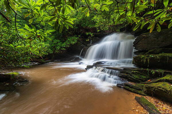 Lemon Creek Falls Art Print featuring the photograph Lemon Creek Falls by Chris Berrier