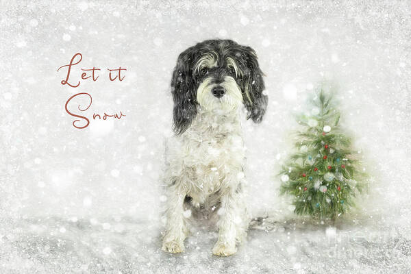 Let It Snow Art Print featuring the photograph Let it Snow by Amy Dundon