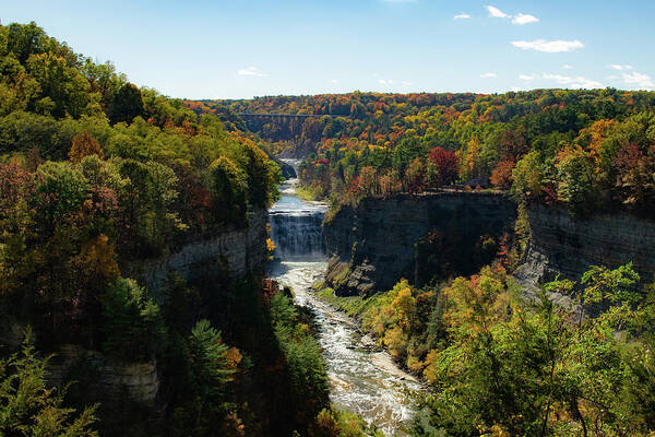 Nature Art Print featuring the photograph Letchworth State Park by Nicole Lloyd