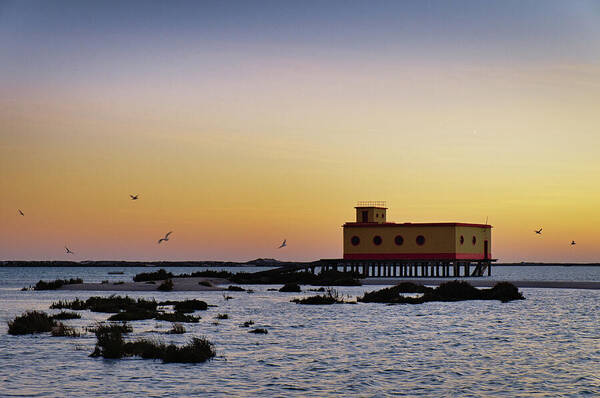 Algarve Art Print featuring the photograph Lifesavers building and birds in Fuzeta. Portugal by Angelo DeVal