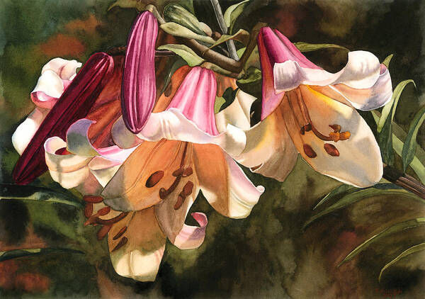 Flower Art Print featuring the painting Lilium Regale by Espero Art