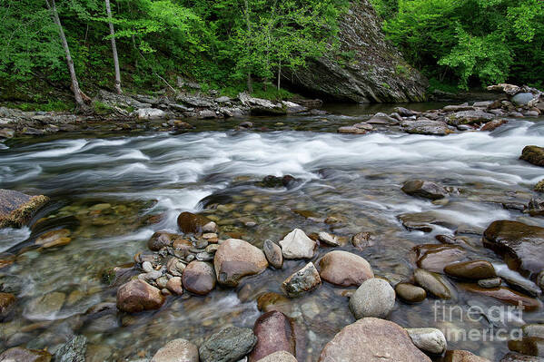 Dawn Art Print featuring the photograph Little River Rapids 6 by Phil Perkins