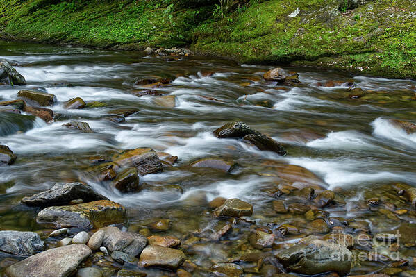 Smokies Art Print featuring the photograph Little River Rapids 9 by Phil Perkins