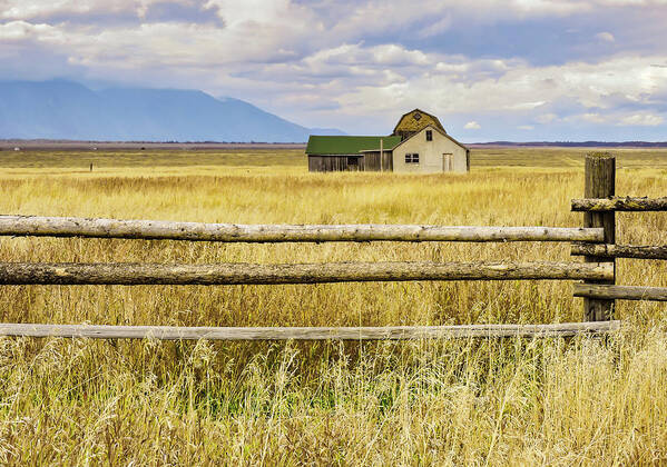 Moulton Homestead Art Print featuring the photograph Lonely Moulton Mormon Row Prairie Dwelling by Norma Brandsberg