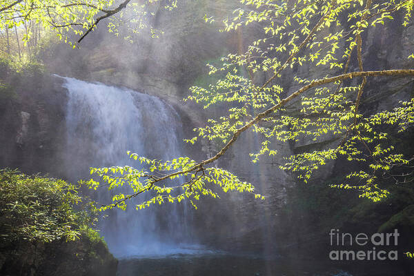 Looking Glass Falls Art Print featuring the photograph Looking Glass Falls, North Carolina II by Felix Lai