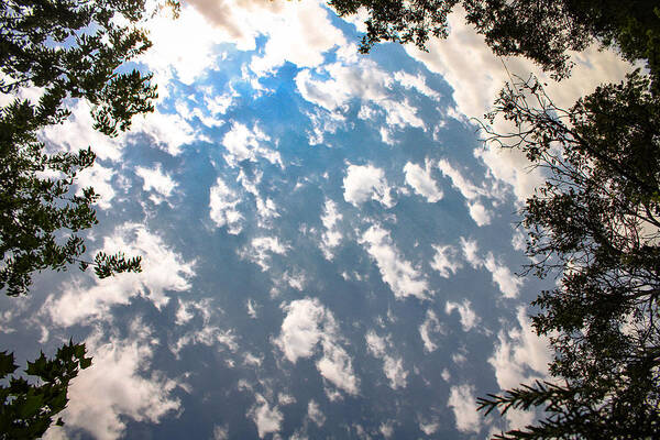 Clouds Art Print featuring the photograph Lots of Little Clouds by W Craig Photography