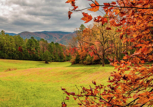 Fall Art Print featuring the photograph Loving Those Leaves by Marcy Wielfaert