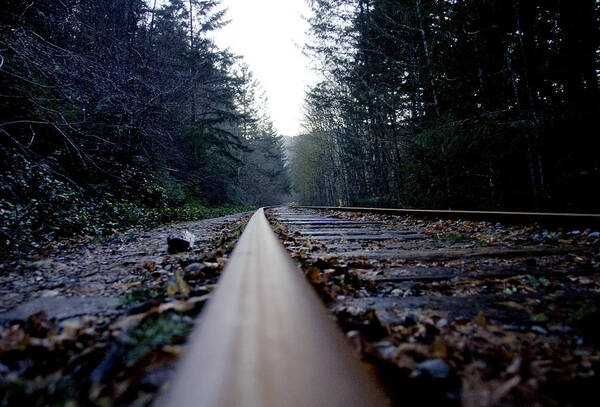 Curve Art Print featuring the photograph Low Angle View of Rustic Railtracks Passing Through Forest by Silentfoto