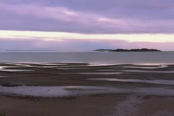 Landscape Art Print featuring the photograph Low Tide Madrona Beach by Allan Van Gasbeck