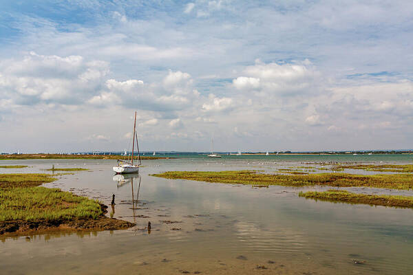  Low Tide Art Print featuring the photograph Low Tide by Shirley Mitchell