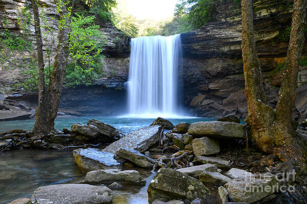 Greeter Falls Art Print featuring the photograph Lower Greeter Falls 3 by Phil Perkins