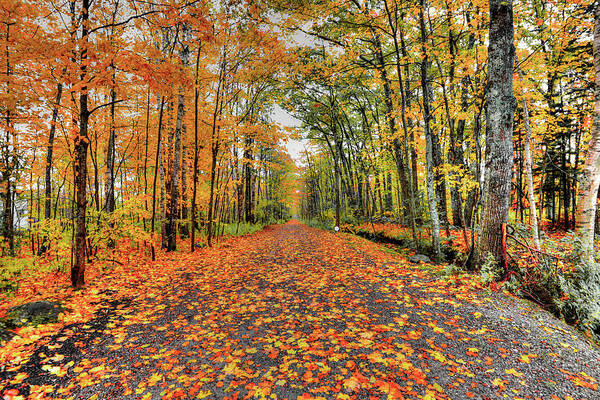 Fall Art Print featuring the photograph Luckey Lane by Jeff Cooper