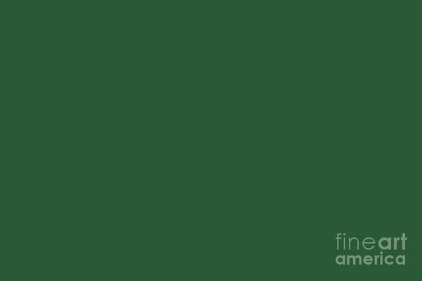 Green Art Print featuring the digital art Lucky Dark Green Solid Color Pairs To Sherwin Williams Shamrock SW 6454 by PIPA Fine Art - Simply Solid