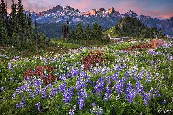  Art Print featuring the photograph Lupine Meadows by Ryan Smith
