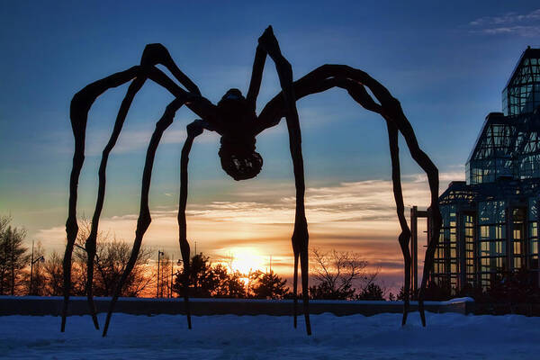 Maman Art Print featuring the photograph Maman the Spider, Ottawa by Tatiana Travelways