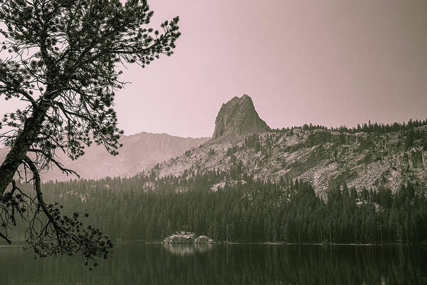 Mammoth Lakes Art Print featuring the photograph Mammoth Lakes Basin 6 by Cindy Robinson