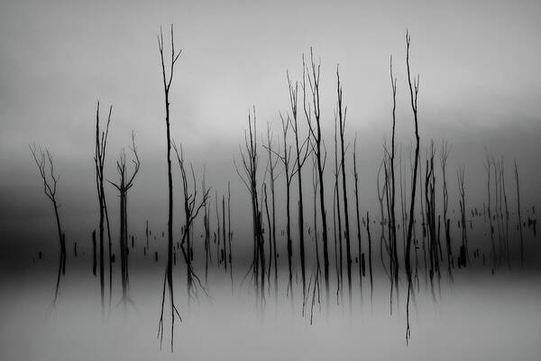 Manasquan Art Print featuring the photograph Manasquan Reservoir Foggy Morning BW by Susan Candelario