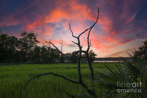 Sunset Art Print featuring the photograph Marsh Sunset over the Wando River - What a Sky by Dale Powell