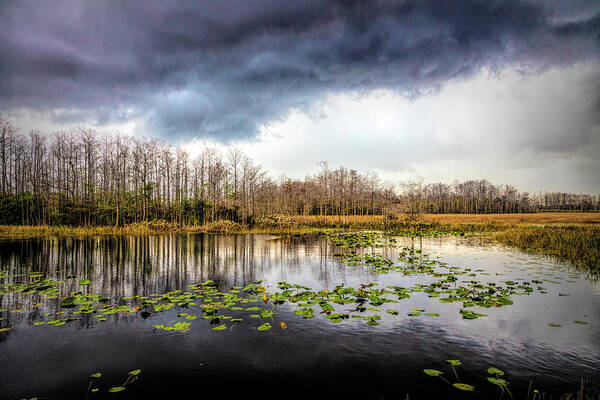 Reflection Art Print featuring the photograph Marsh Under Thunderclouds by Debra and Dave Vanderlaan