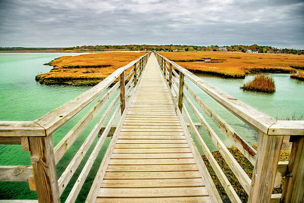 Cape Cod Art Print featuring the photograph Marsh Walk by Greg Fortier