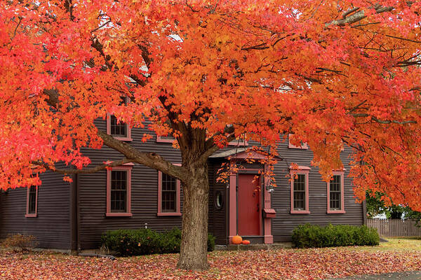 Autumn Fall Colors Art Print featuring the photograph Massachusetts Fall Colors over Colonial by Jeff Folger