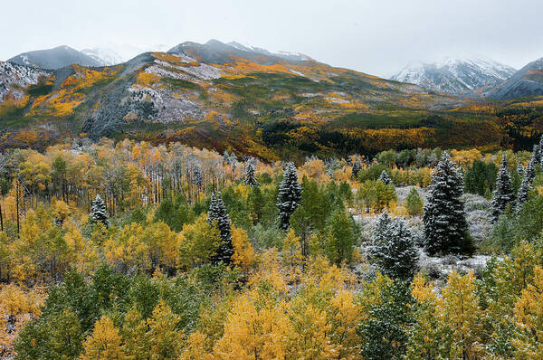 Colorado Art Print featuring the photograph McClure Pass - 9606 by Jerry Owens