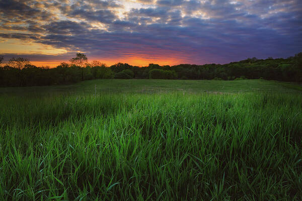 Grass Art Print featuring the photograph Meadow Morning by Scott Norris