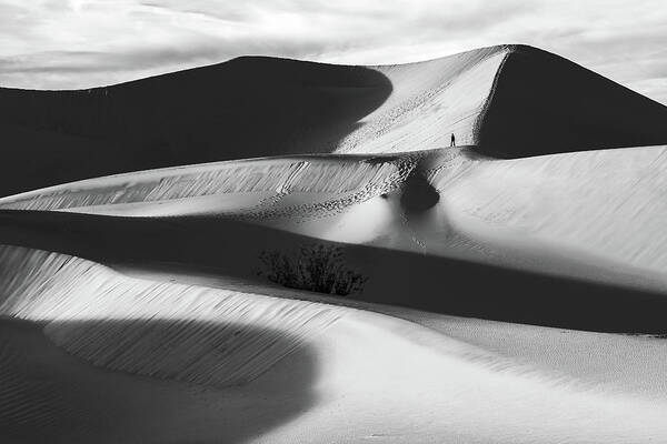 American Landscape Art Print featuring the photograph Lone Hiker on Dunes bw by Jonathan Nguyen