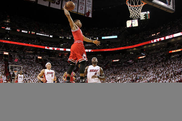 Chicago Bulls Art Print featuring the photograph Mike Bibby, Derrick Rose, and Lebron James by Mike Ehrmann