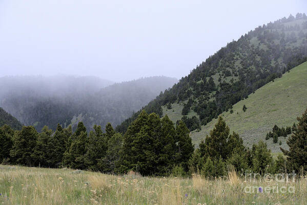 Scenic Art Print featuring the photograph Mist in the Mountains by Kae Cheatham