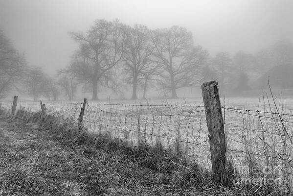 Misty Art Print featuring the photograph Misty Morning in Europe by Daniel M Walsh
