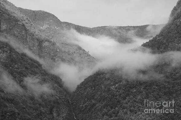 Mountaintop Art Print featuring the photograph Misty Mountaintop Black and White by Carol Groenen