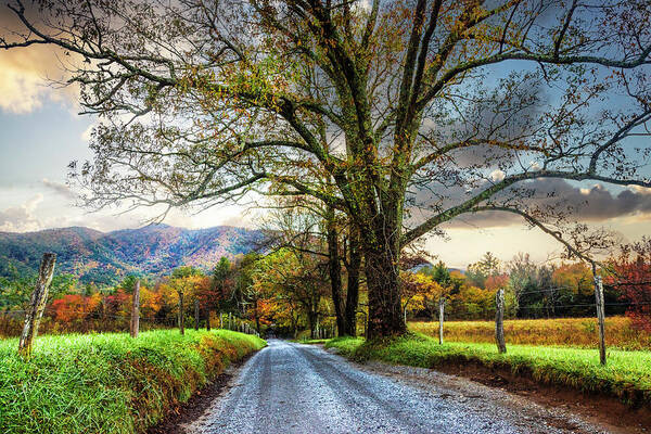 Cades Art Print featuring the photograph Misty Sparks Lane by Debra and Dave Vanderlaan