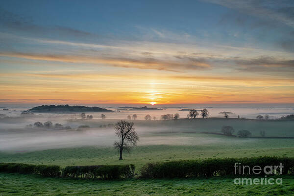 Oxfordshire Countryside Art Print featuring the photograph Misty Spring Sunrise Across the Oxfordshire Countryside by Tim Gainey
