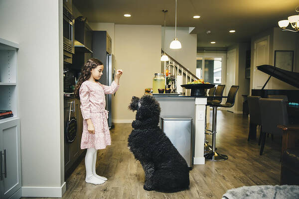 Pets Art Print featuring the photograph Mixed race girl training dog in kitchen by Inti St Clair