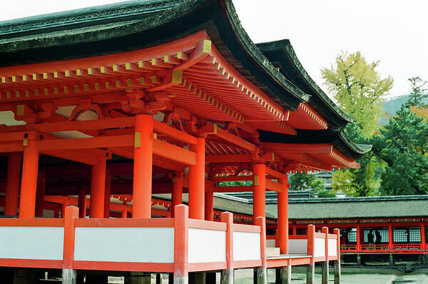 Japan Art Print featuring the photograph Miyajima 05 by Niels Nielsen