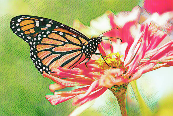Pink Art Print featuring the digital art Monarch Butterfly Mauve Pink Zinnia by Marianne Campolongo