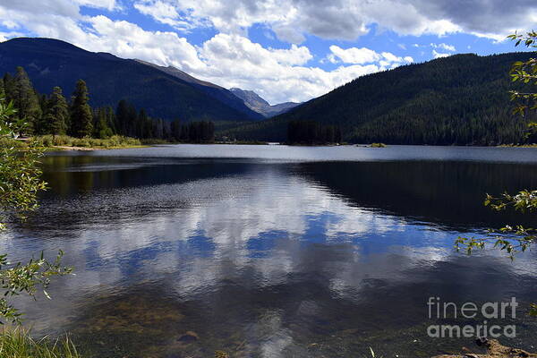 Forest Art Print featuring the photograph Monarch Lake by Anjanette Douglas