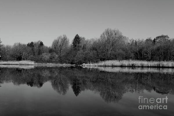 Water Art Print featuring the photograph Mono Millpool by Stephen Melia