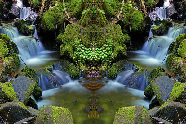 Nature Art Print featuring the photograph Moon Falls Mirror #1 by Ben Upham III