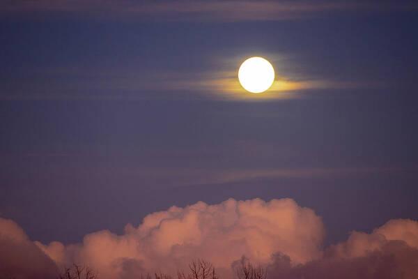Moon Art Print featuring the photograph Moon Rise Over South Florida by Blair Damson