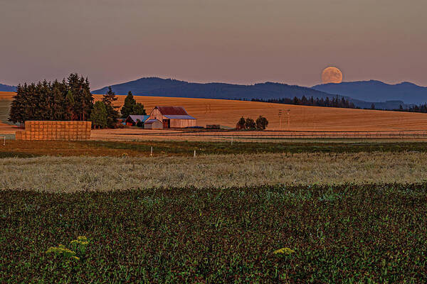 Barns Art Print featuring the photograph Moonrise over the valley by Ulrich Burkhalter