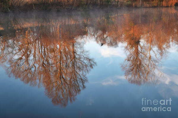 Birkdale Village Pond Art Print featuring the photograph Morning Mist by Amy Dundon