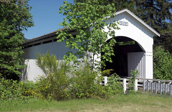 Photo Art Print featuring the photograph Mosby Creek Covered Bridge Oregon by Greg Sigrist